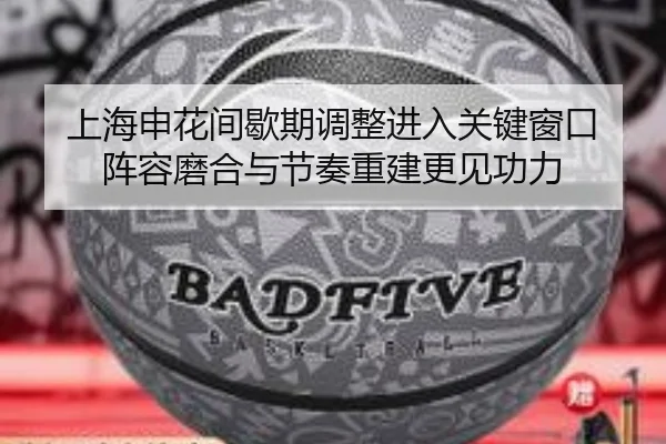 img_1781941627426_67_2_484.jpg